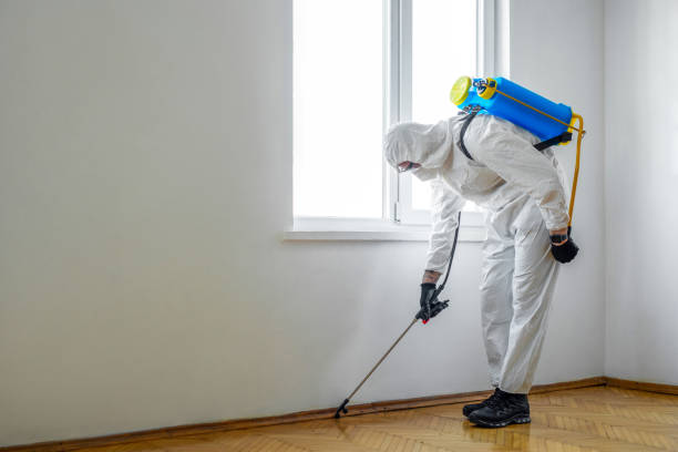 Best Residential Pest Control  in Succasunna, NJ